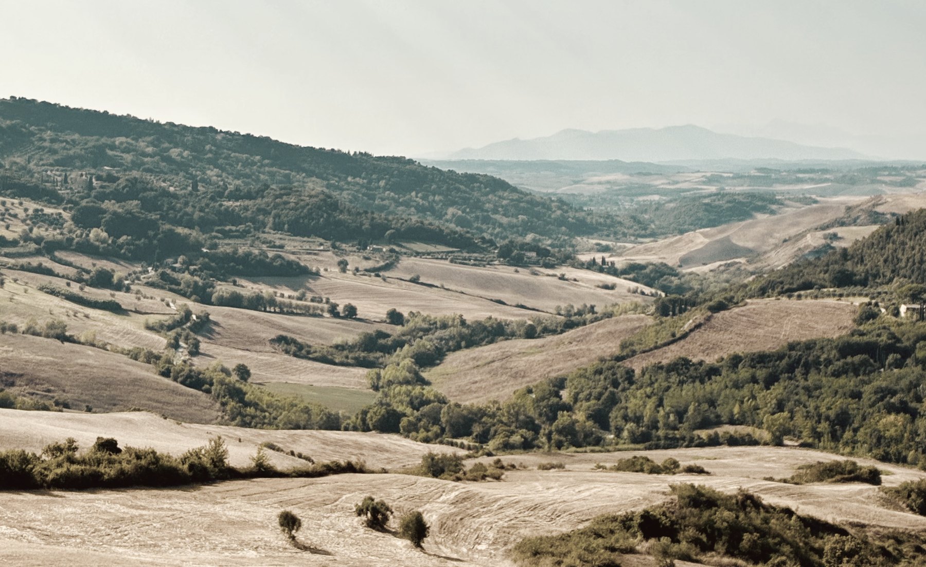 Rolling Tuscan hills near Guardistallo